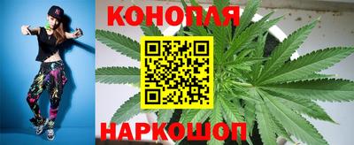 прущие грибы Бердск