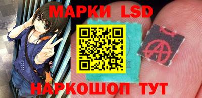 прущие грибы Бердск