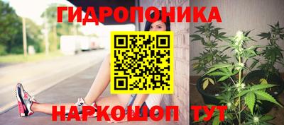 дживик Аша